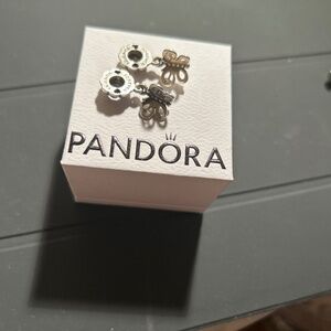 COPY - Pandora Silver and Black Charm Bracelet